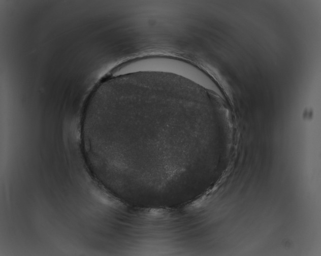 X0000089760060200707121412