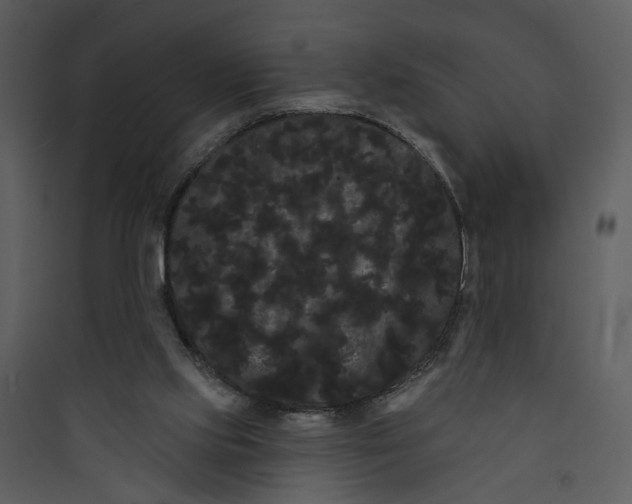 X0000089760061200707121412