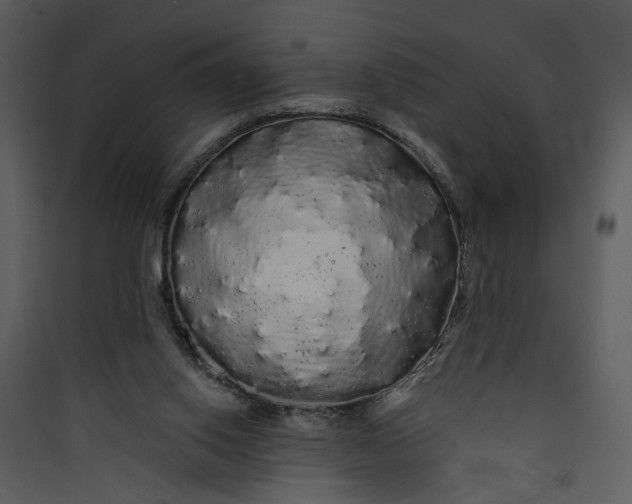 X0000089760062200707121412