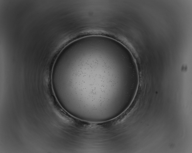 X0000089760063200707121412