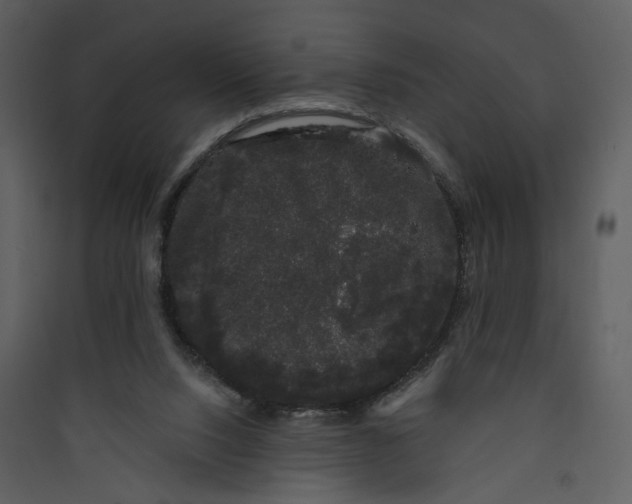 X0000089760064200707121412