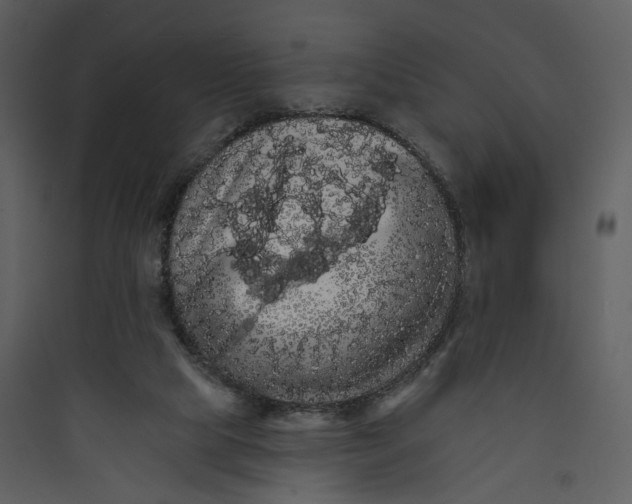 X0000089760065200707121412