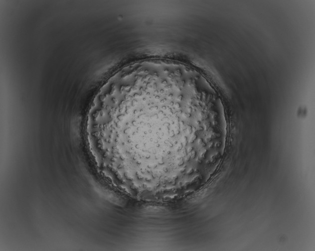 X0000089760066200707121412