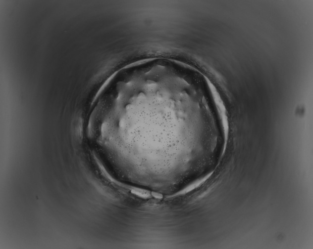 X0000089760067200707121412