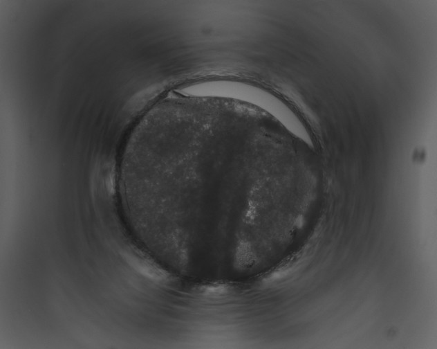 X0000089760068200707121412