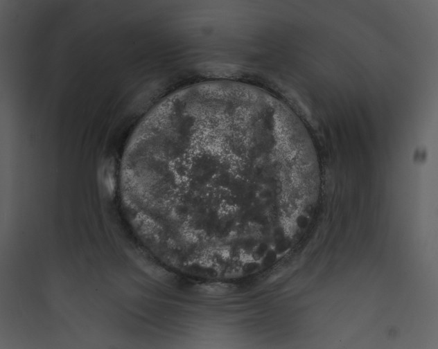 X0000089760069200707121412