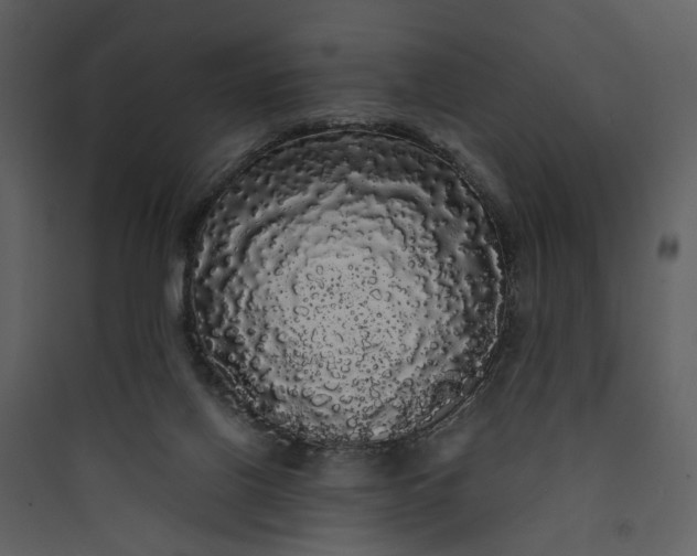 X0000089760070200707121412