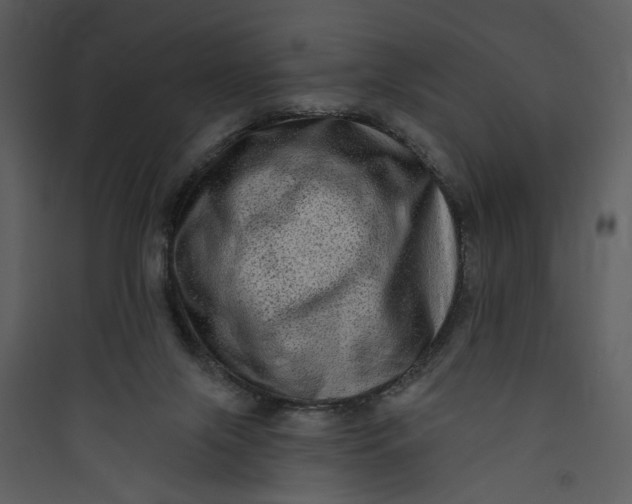 X0000089760071200707121412