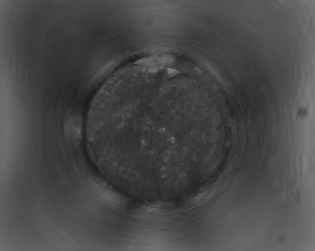 X0000089760072200707121412
