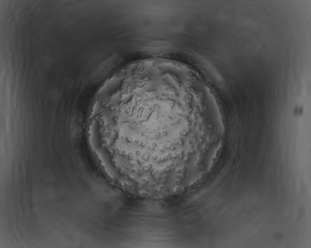X0000089760073200707121412