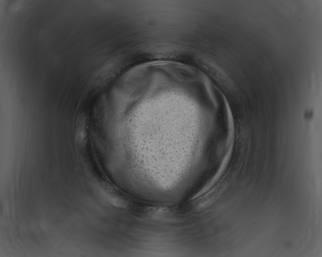 X0000089760074200707121412