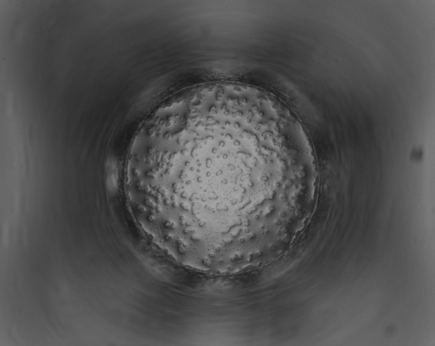 X0000089760075200707121412