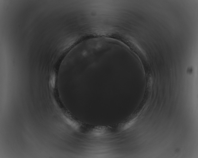 X0000089760076200707121412
