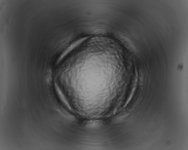 X0000089760077200707121412