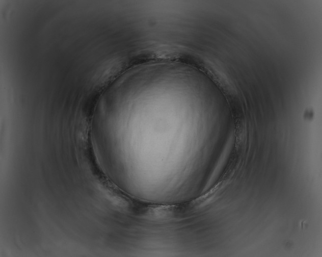 X0000089760078200707121412