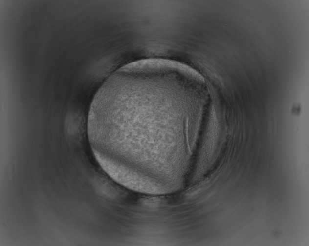X0000089760079200707121412