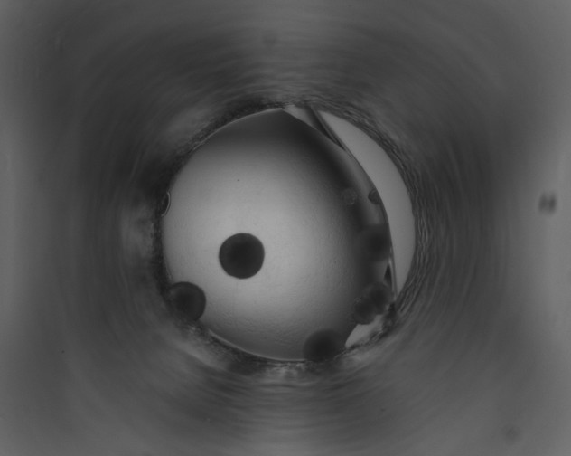X0000089760080200707121412