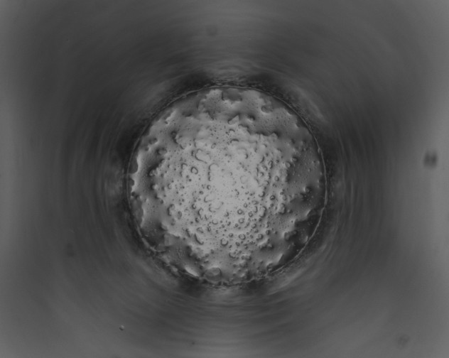X0000089760081200707121412