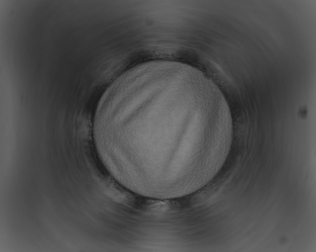 X0000089760083200707121412