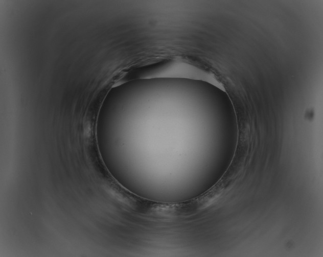 X0000089760084200707121412