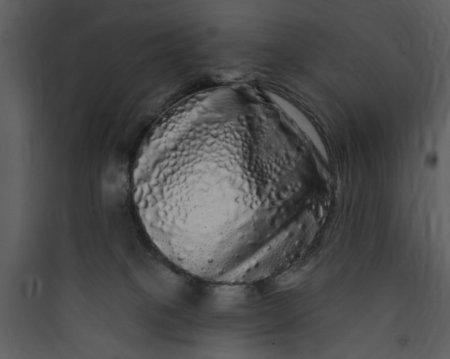 X0000089760085200707121412