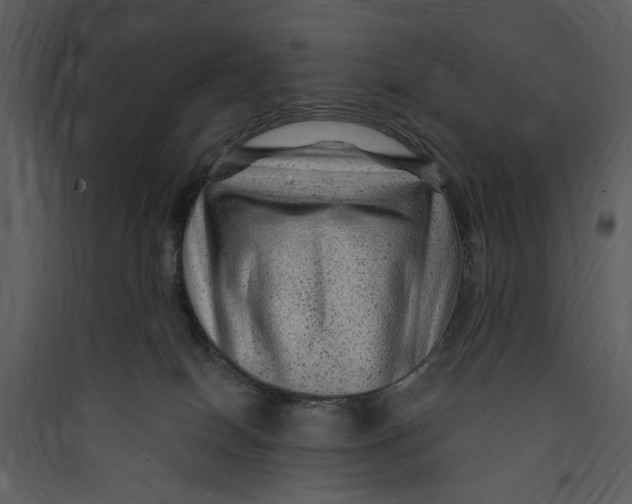 X0000089760086200707121412