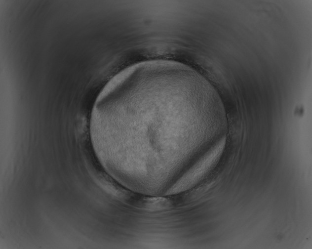X0000089760087200707121412