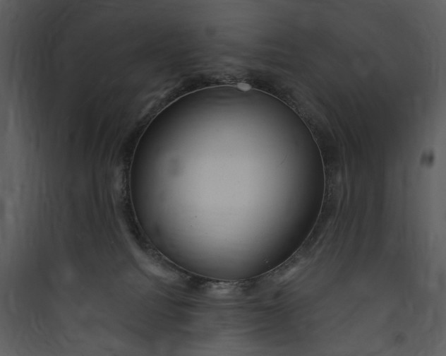 X0000089760088200707121412