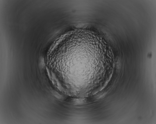 X0000089760089200707121412
