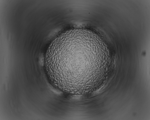 X0000089760090200707121412