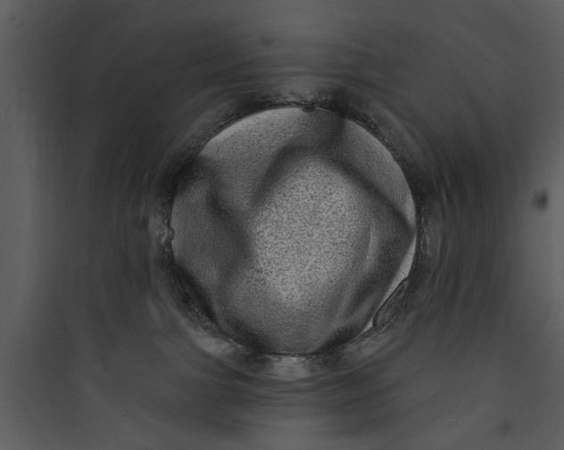 X0000089760091200707121412