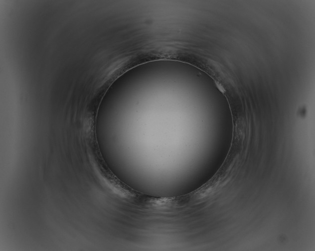X0000089760092200707121412