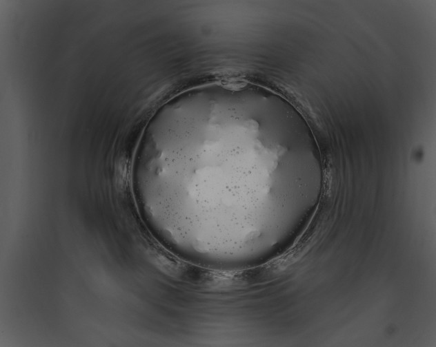 X0000089760093200707121412