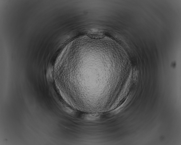 X0000089760094200707121412