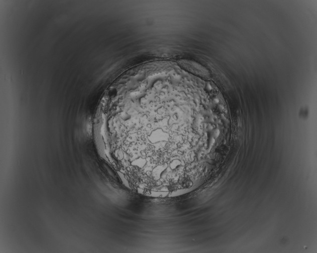 X0000089760095200707121412
