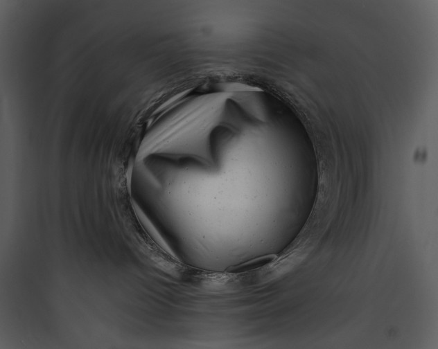 X0000089760096200707121413