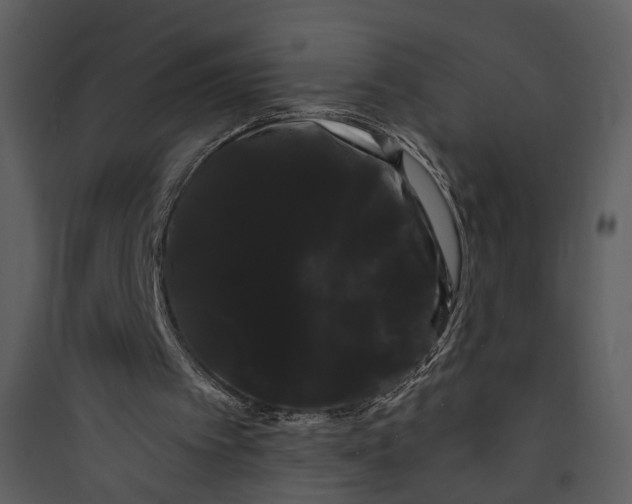 X0000089760097200707121412