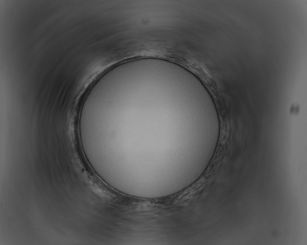 X0000089760098200707121412