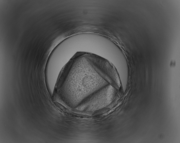 X0000089760099200707121412