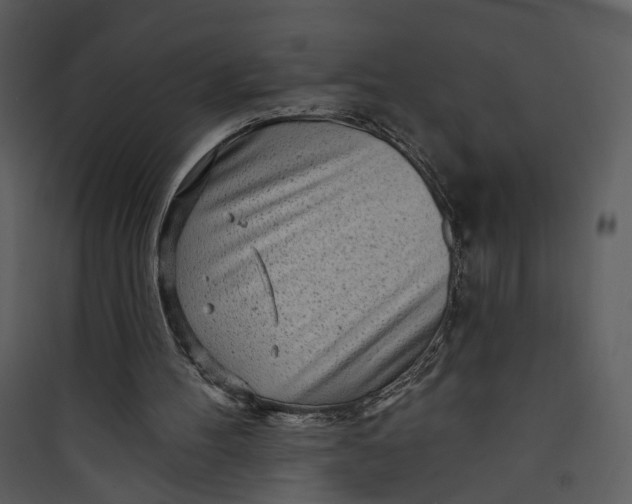 X0000089760100200707121412