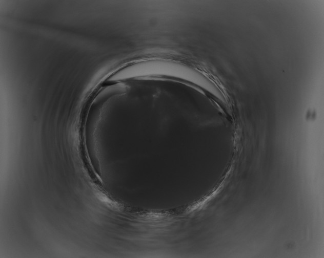 X0000089760101200707121412