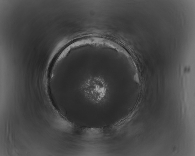 X0000089760102200707121412
