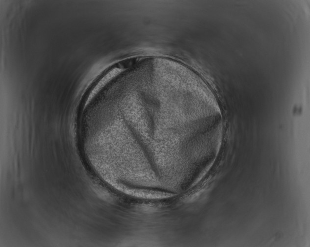 X0000089760103200707121412