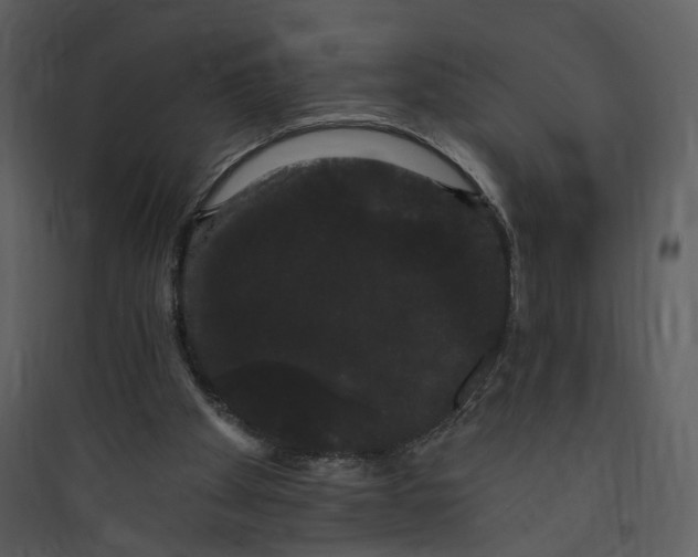X0000089760105200707121412