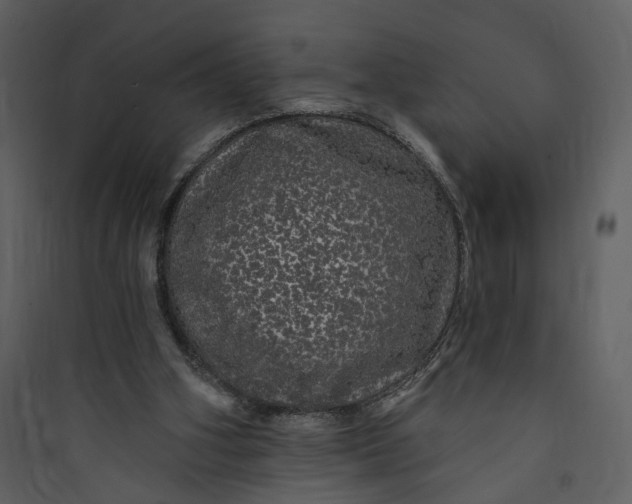 X0000089760106200707121412