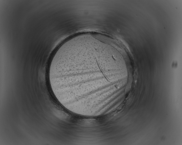 X0000089760108200707121412