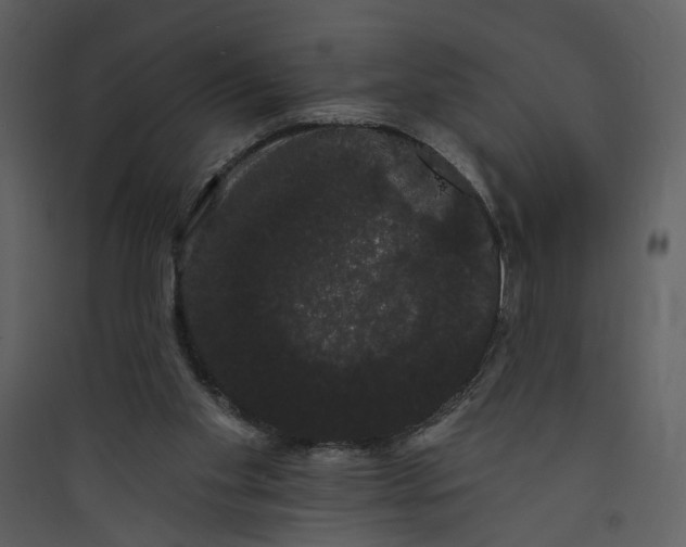 X0000089760109200707121412