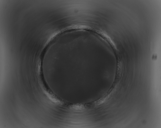 X0000089760110200707121412