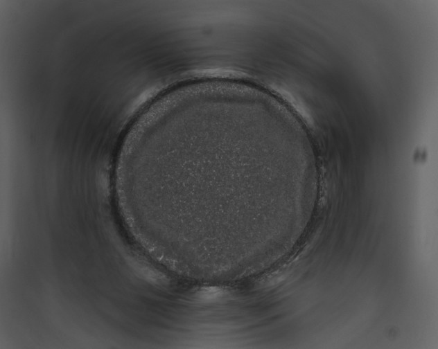 X0000089760111200707121412