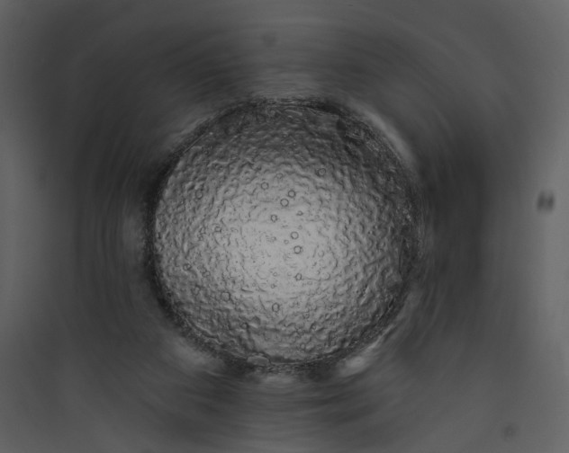 X0000089760113200707121412